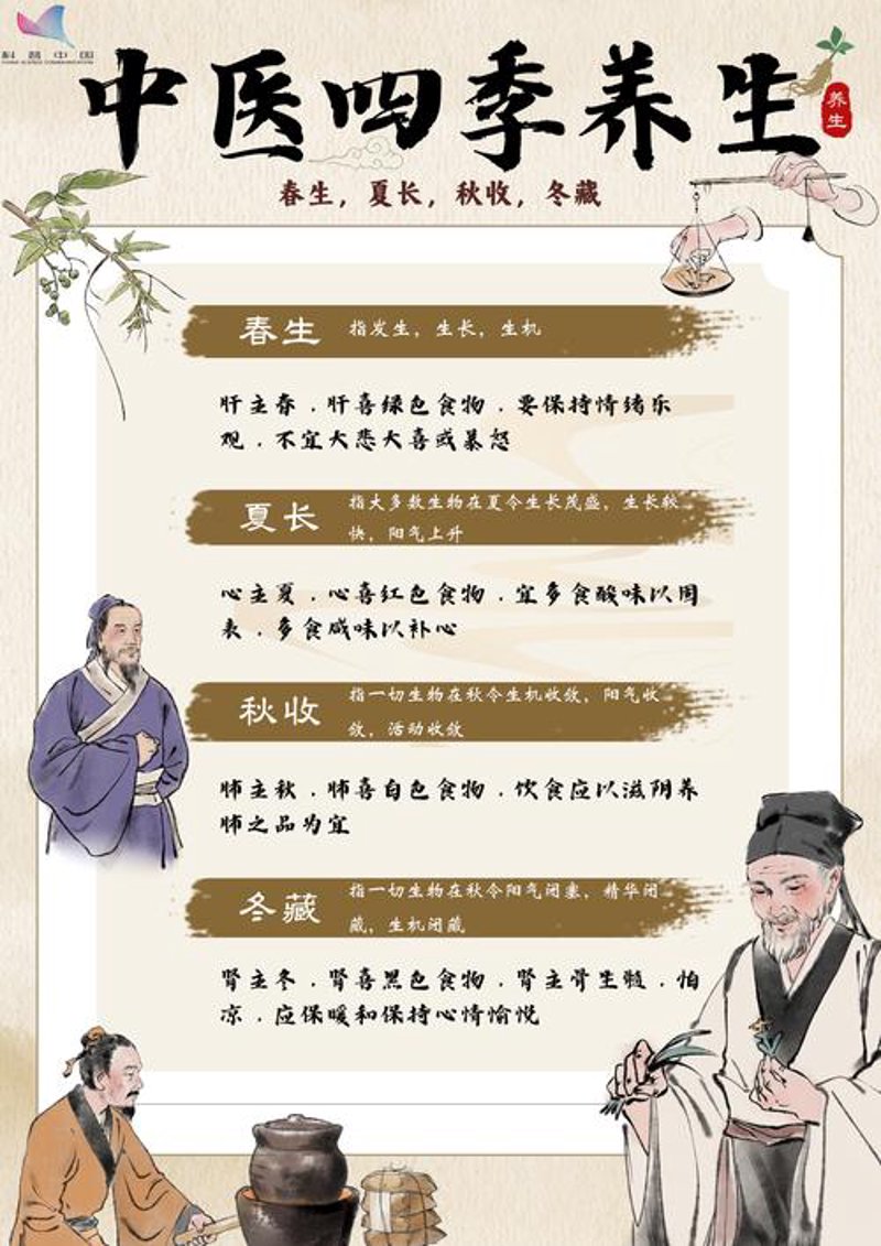 中医养生:传统智慧与现代生活的完美融合